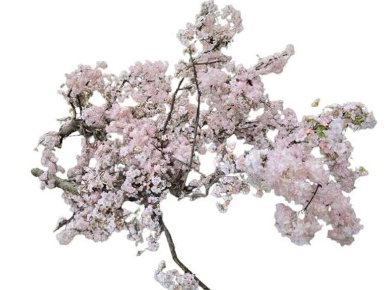 Faux Pink Cherry Blossom Branch Decor