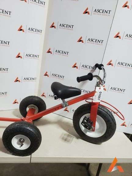 Valley Trike with wagon, new never used