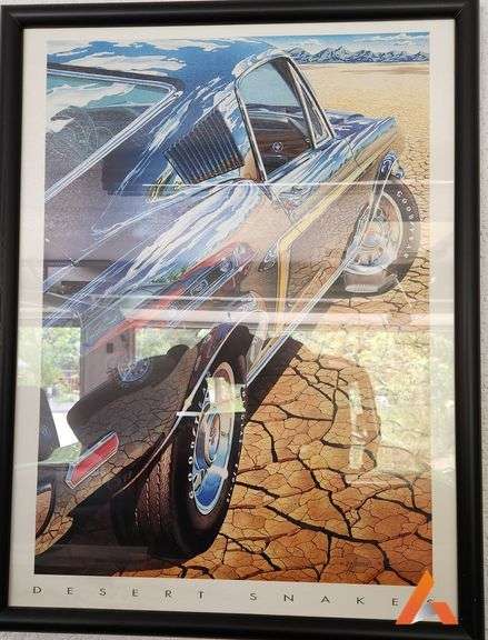 Mustang Desert Poster/Picture