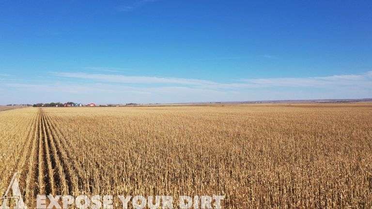 Tract 5: 155.99± Acres - SW4 SEC 15