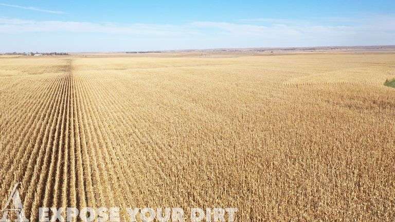 Tract 3: 160± Acres - NW4 SEC 13