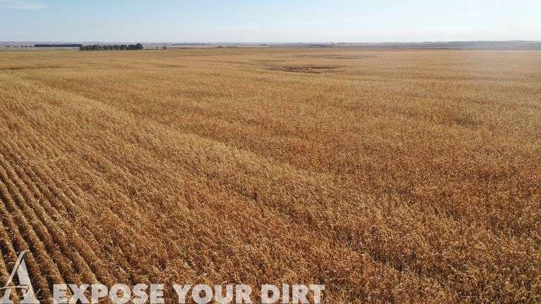 Tract 6: 160± Acres - SW4 SEC 21