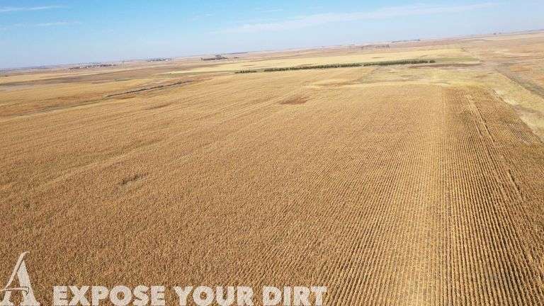 Tract 4: 160± Acres - NW4 SEC 14