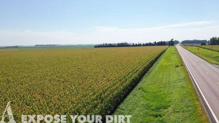 146.14± Acres Moody Co