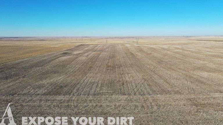 Tract 2: 160± Acres: NW4 SEC 11