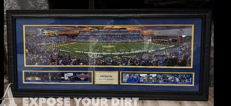 Framed Photograph SDSU Football Stadium