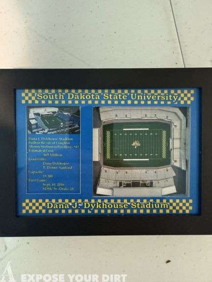 Dana J. Dykhouse Stadium Framed picture