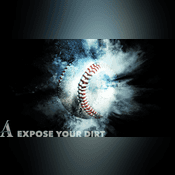 Bring on Brookings Baseball Silent Auction