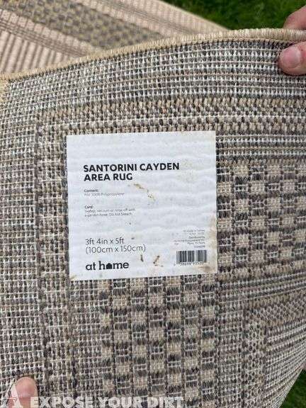 Santorini Cayden 3ft 4in x 5 ft Outdoor Area Rug