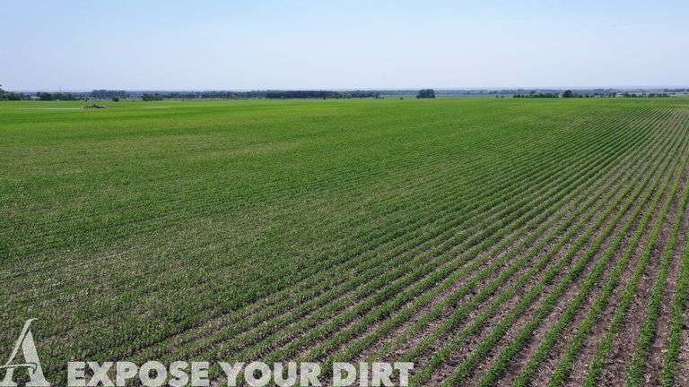 320± Acre Grant County, SD Land Auction