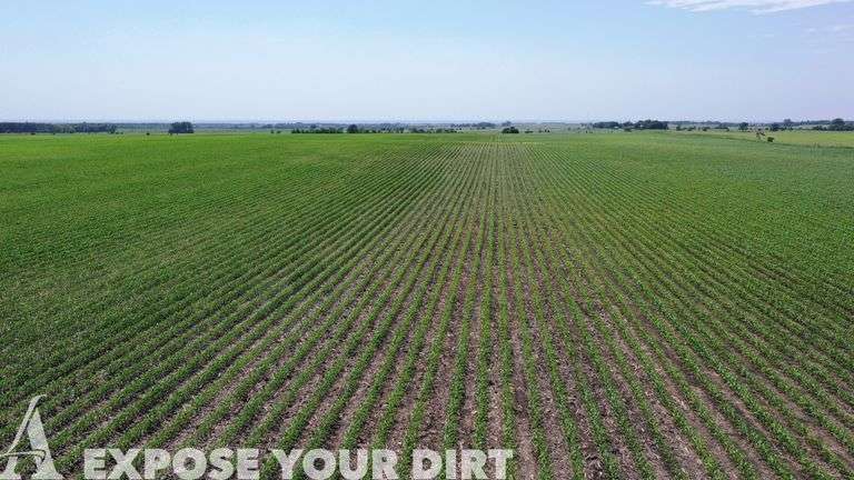 320± Acre Grant County, SD Land Auction