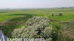 320± Acres of Roberts County, SD Land For Sale