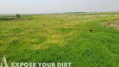 320± Acres of Roberts County, SD Land For Sale