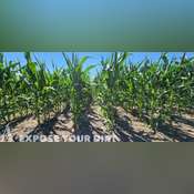 866.82± Acre Brule County, SD Land Auction