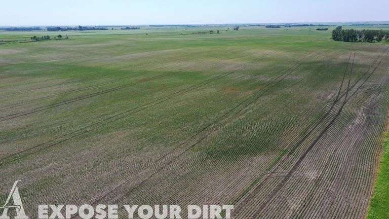 Tract 1: 148± Acres: NW4 SEC 33