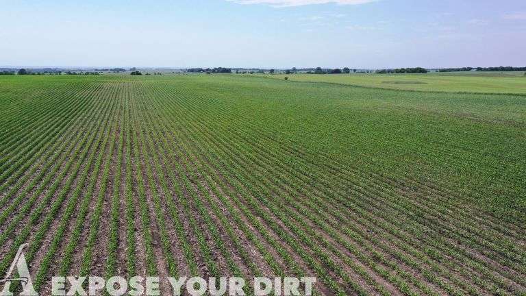 Tract 2: 160± Acres: SE4 SEC 6