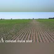 Retirement Land Auction 308± Acres - Kingsbury Co, SD