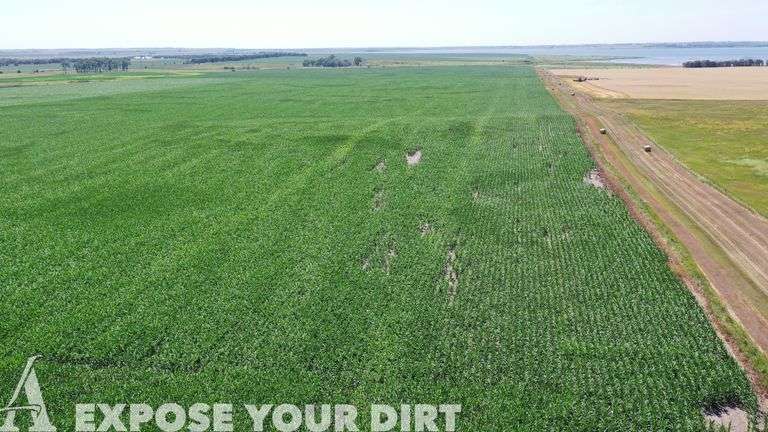 Tract 1: 164.72± Acres: NE4 SEC 23