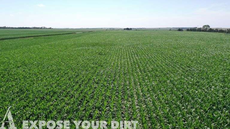 Tract 5: 110± Acres:  S30 A Of N1/2 NE1/4 and S1/2 NE1/4 SEC 8