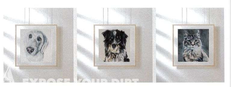 Custom Pastel Pet Portrait