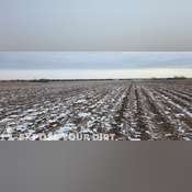 Hand County, SD Land for Rent