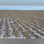 640± Acres Beadle County Land Auction