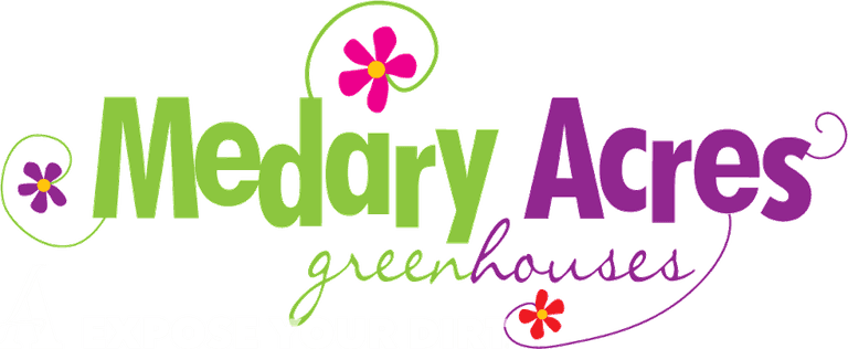Medary Acres Gift Certificate 1