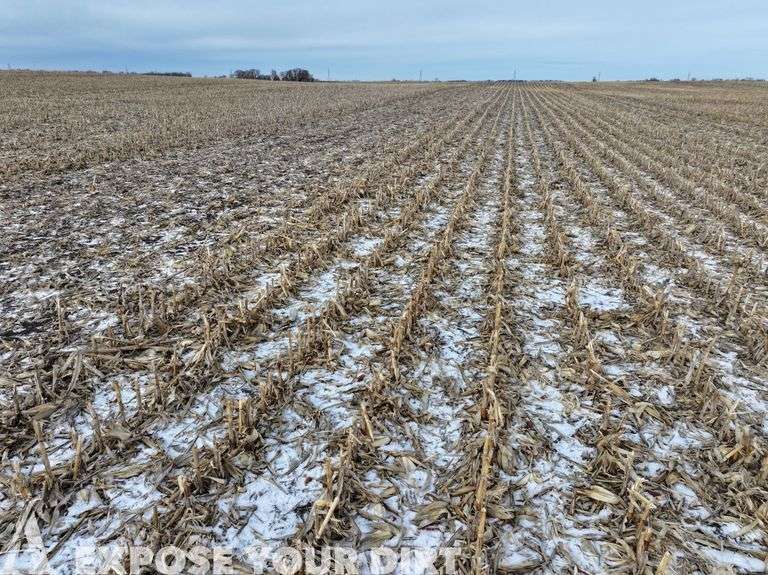 Tract 2: NE4: 160± Acres