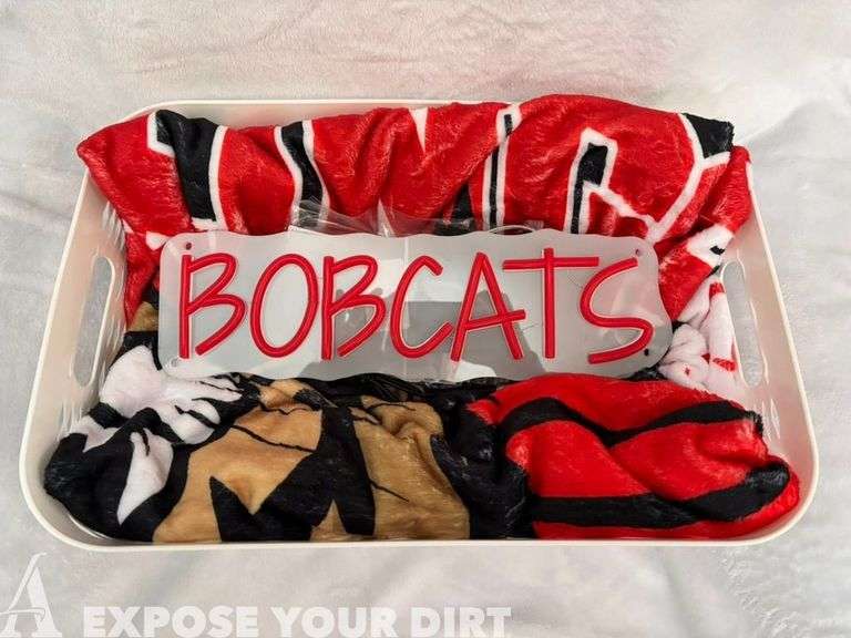 Bobcat Blanket and LED Neon Sign