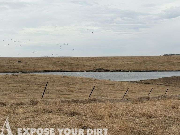 161.2± Beadle County, SD Land Auction