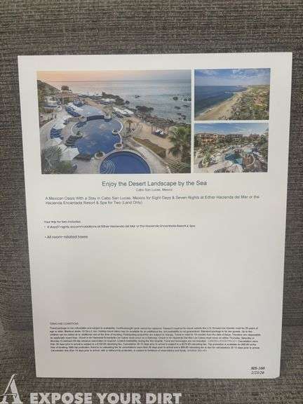 Enjoy the Desert Landscape by the Sea Trip - Cabo San Lucas