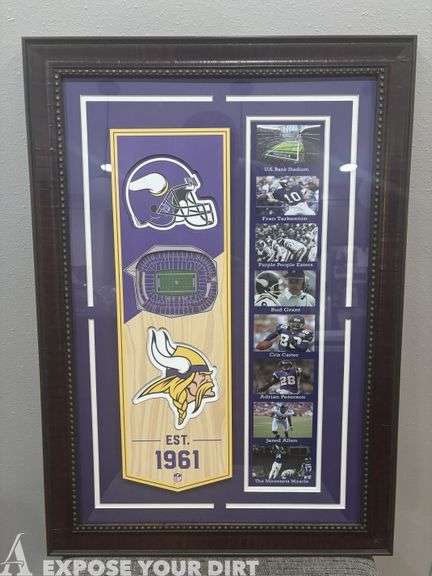 Minnesota Vikings Collage