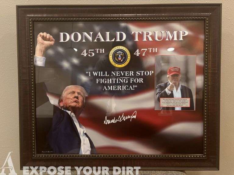 Donald Trump Collage