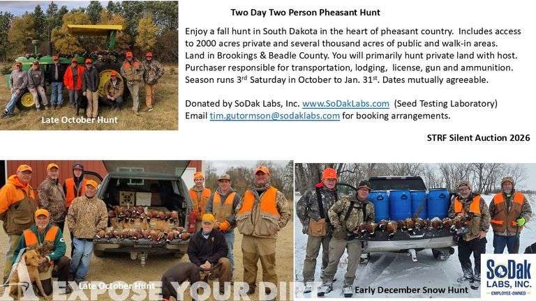 South Dakota Pheasant Hunt