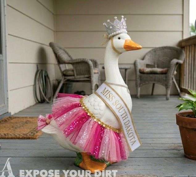 Miss Goose-i-ana: The Ultimate Porch Goose, Briley Steffensen
