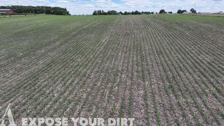 Tract 2: 86± Acres in SE4 SEC 29