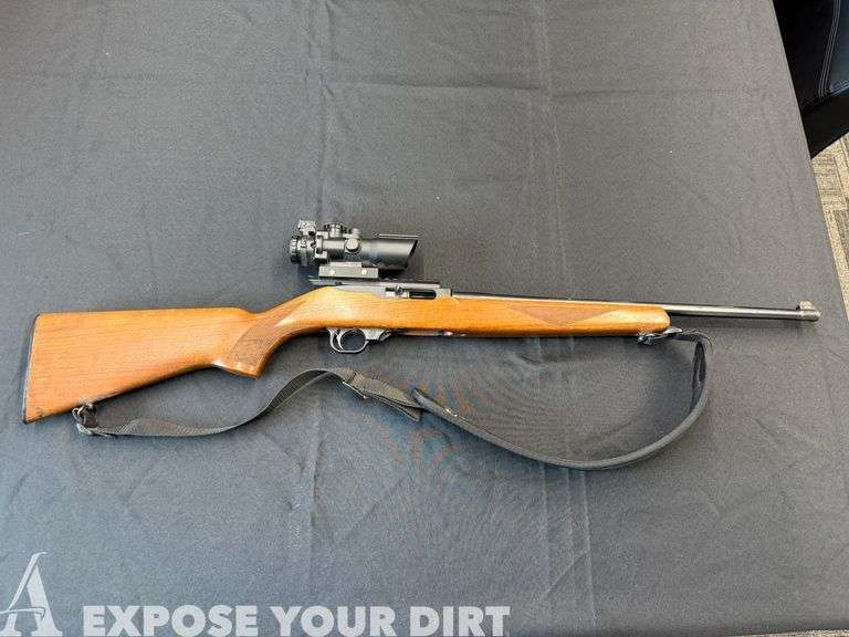 Ruger 10-22 .22 caliber and AM Scoped Rifle