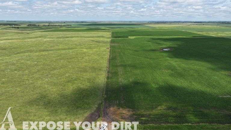 Tract 14: 160± Acres - SW4 SEC 16