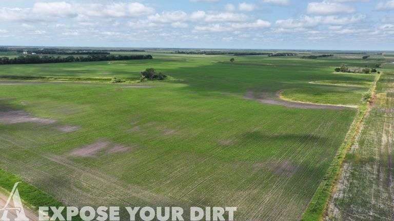Tract 10: 160± Acres NE4 SEC 35