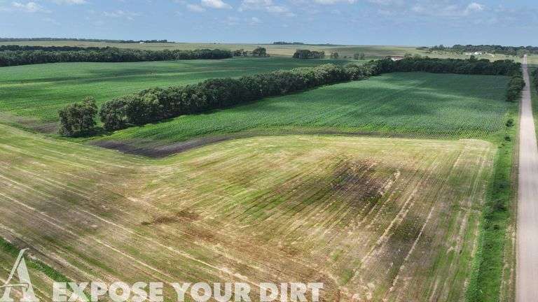 Tract 4: 132.81± Acres in NE4 SEC 4