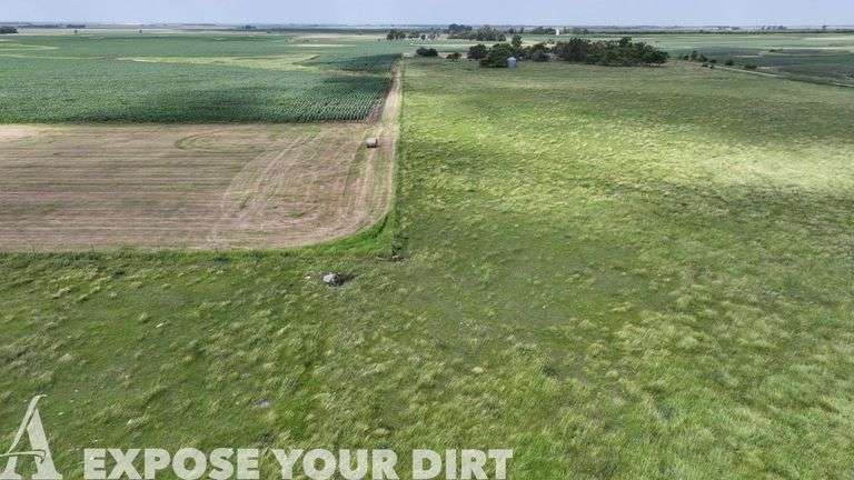 Tract 6: 160± Acres - NE4 SEC 7