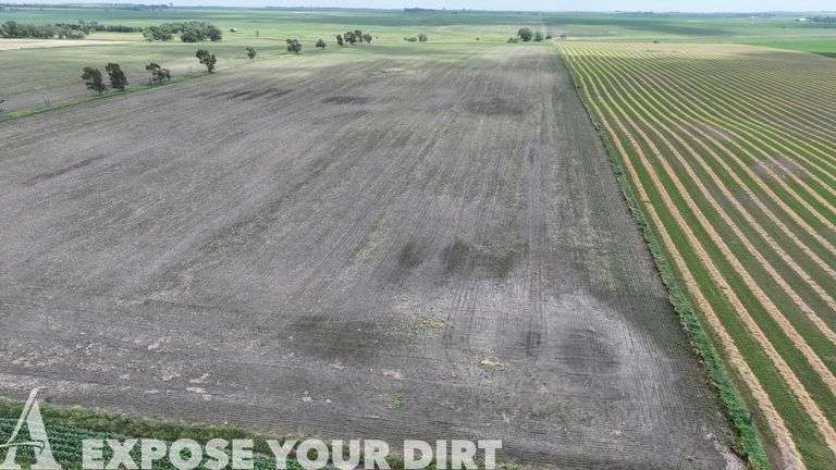 Tract 11: 160± Acres - NE4 SEC 31