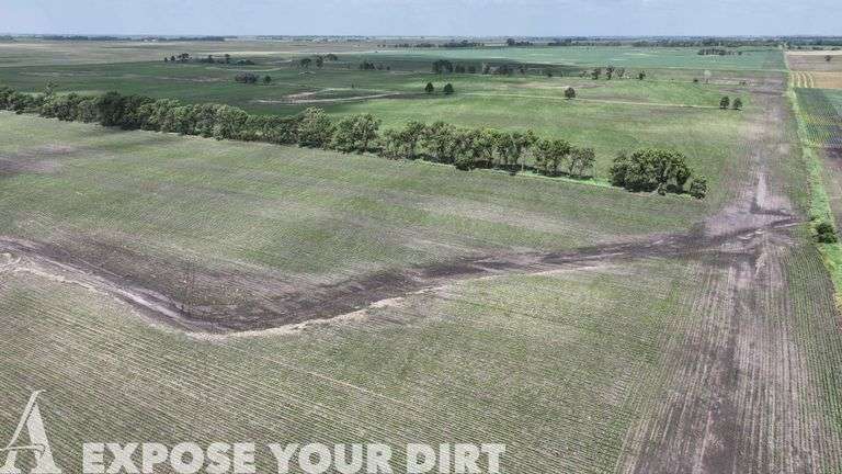 Tract 12: 159.56± Acres - SW4 SEC 31