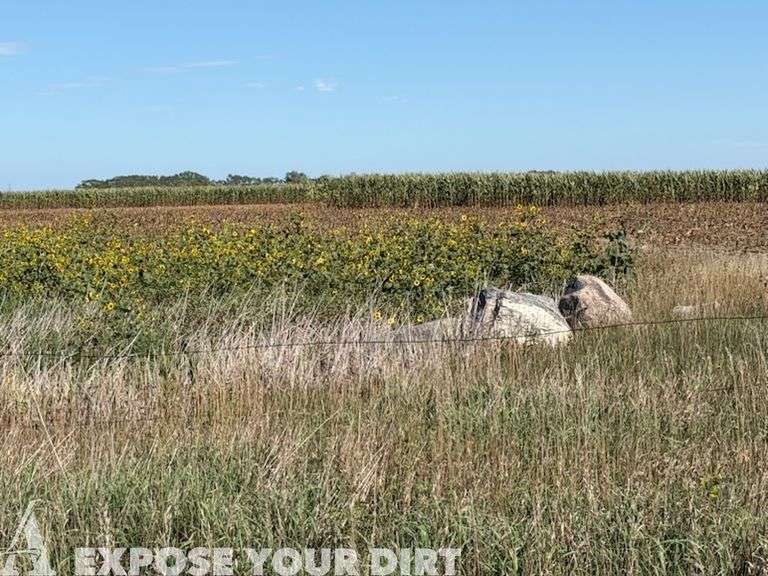 155± Acres Aurora County, SD Land Auction