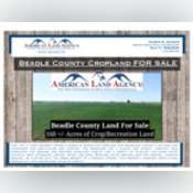 Thumbnail image of Beadle County Listing Packet.pdf