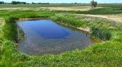 Beadle County Crop/Recreation Land Auction