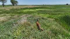 Beadle County Crop/Recreation Land Auction