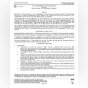 Thumbnail image of Pre-Auction Commitment.pdf