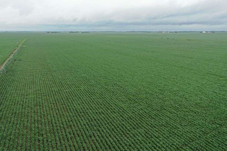 Polk & York County, NE Irrigated Farms
