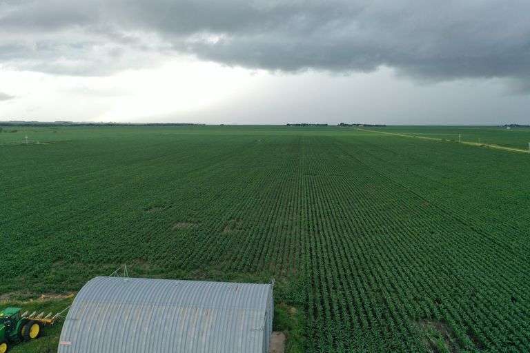 Irrigated Farm